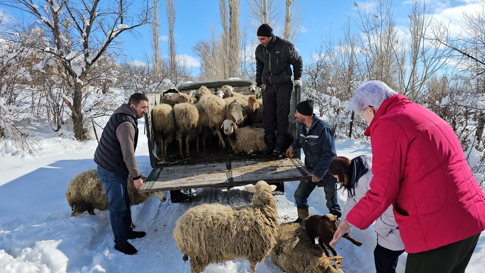 Micro-Enterprise & Income Generation Aid: field photo 4