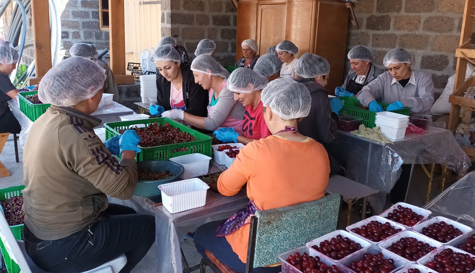 Micro-Enterprise & Income Generation Aid: field photo 10
