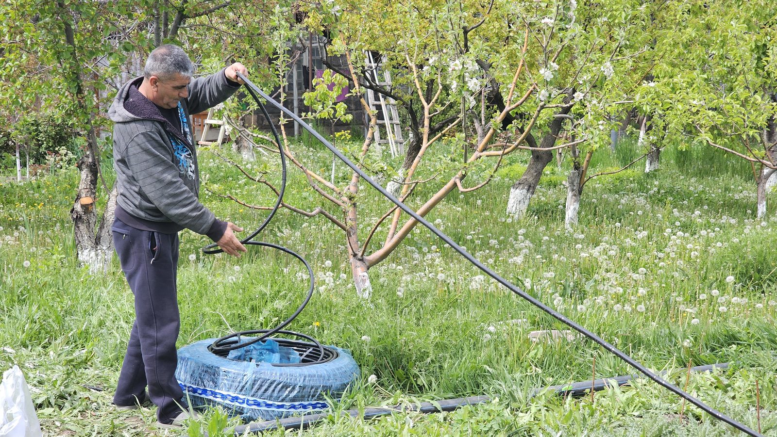 Micro-Enterprise & Income Generation Aid: field photo 19