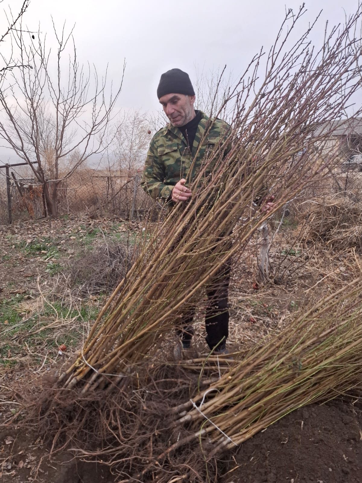 Regenerative Agriculture & Climate Adaptation: field photo 1