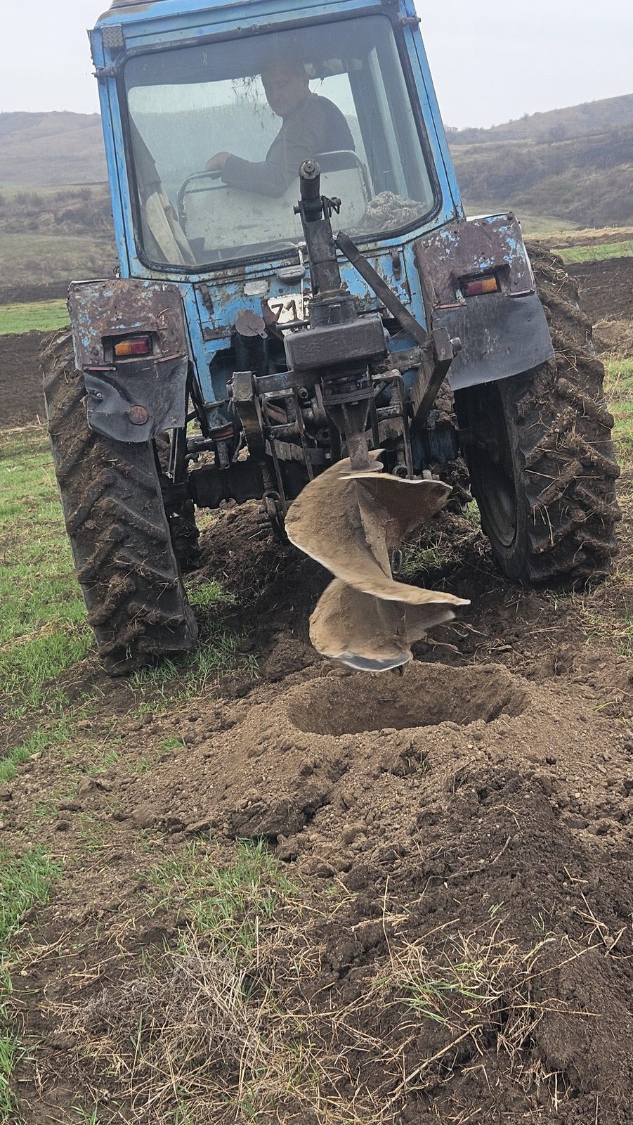 Regenerative Agriculture & Climate Adaptation: field photo 3