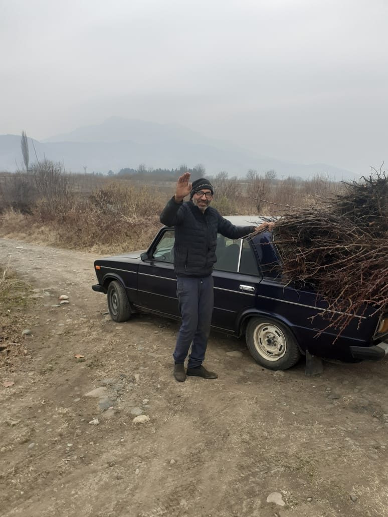 Regenerative Agriculture & Climate Adaptation: field photo 4