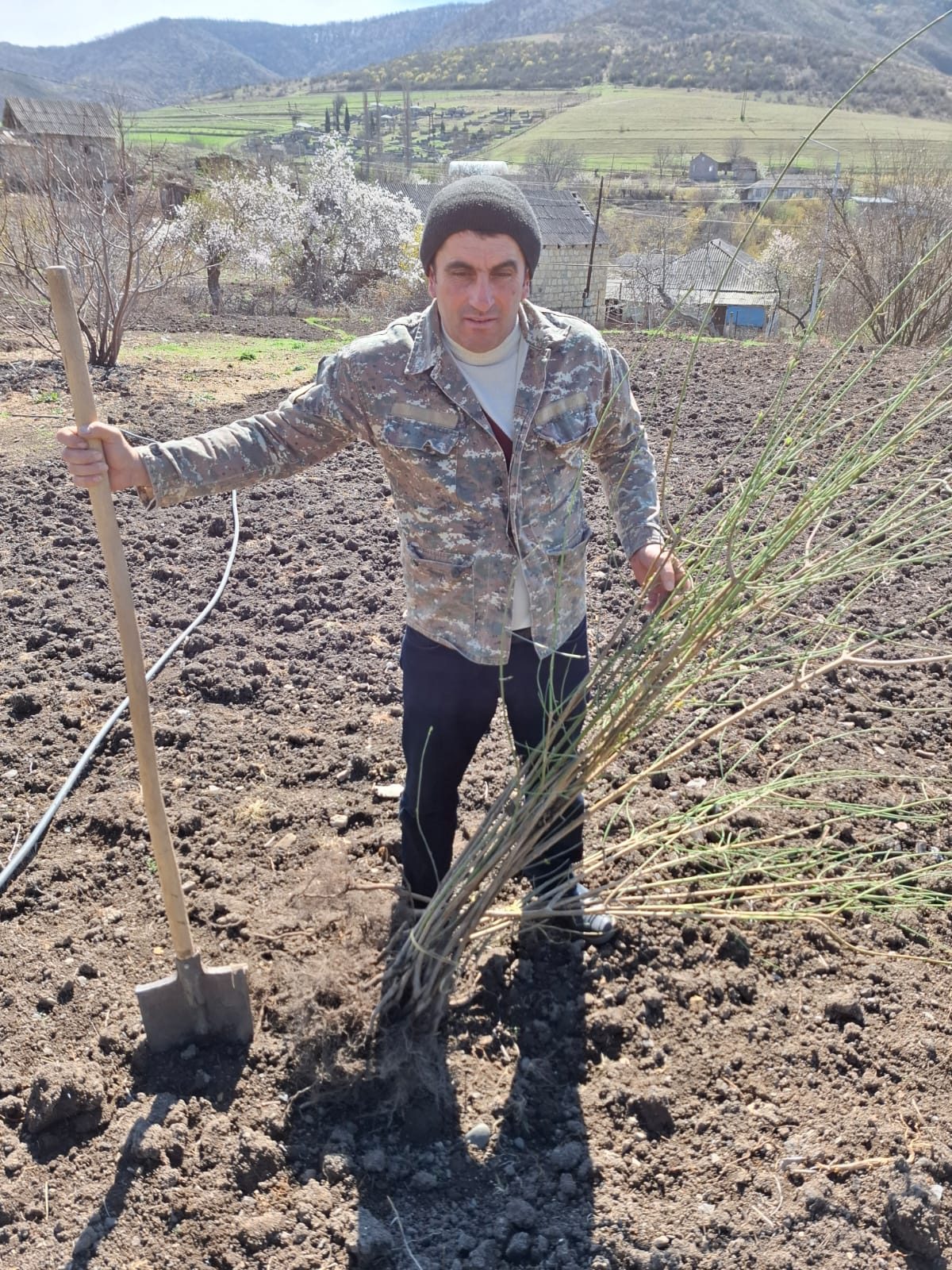 Regenerative Agriculture & Climate Adaptation: field photo 7