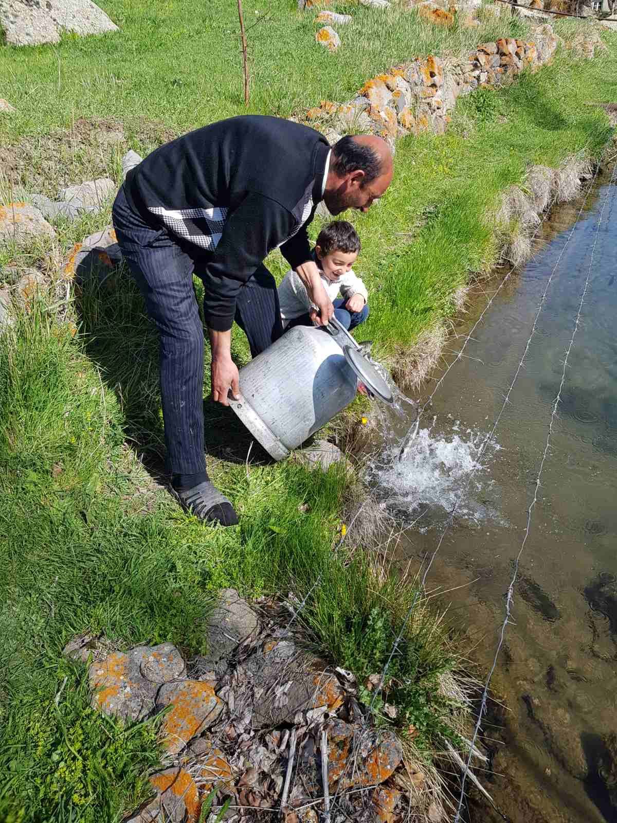 Regenerative Agriculture & Climate Adaptation: field photo 8