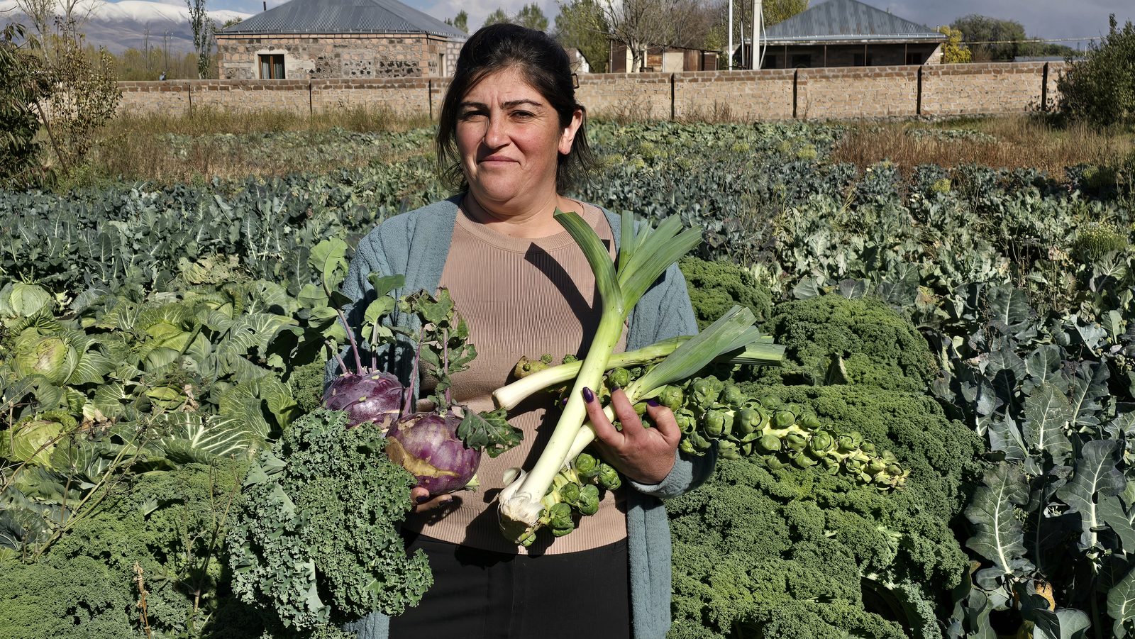 Regenerative Agriculture & Climate Adaptation: field photo 9