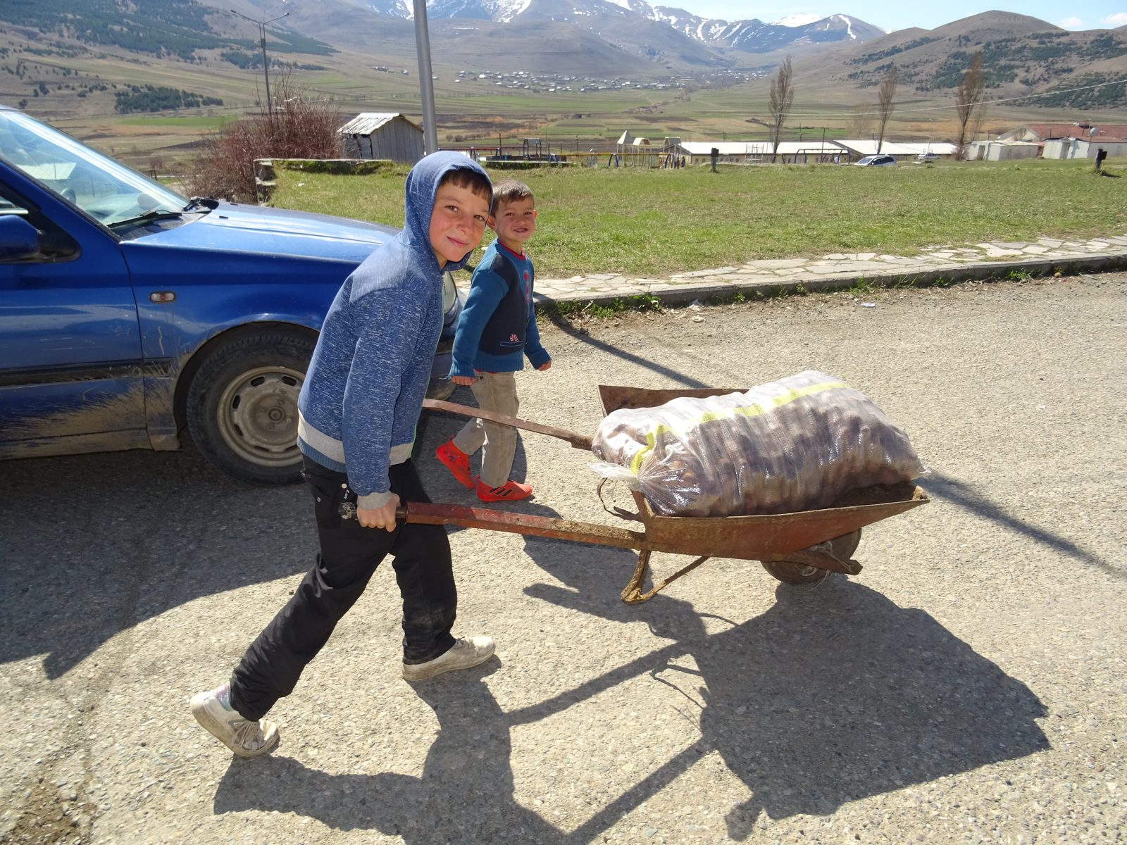 Seeds & Agriculture: field photo 1