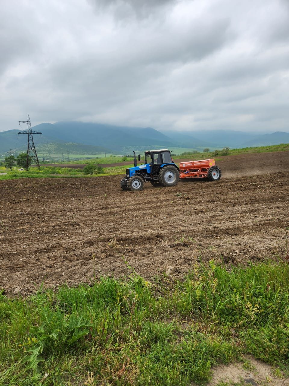Seeds & Agriculture: field photo 6