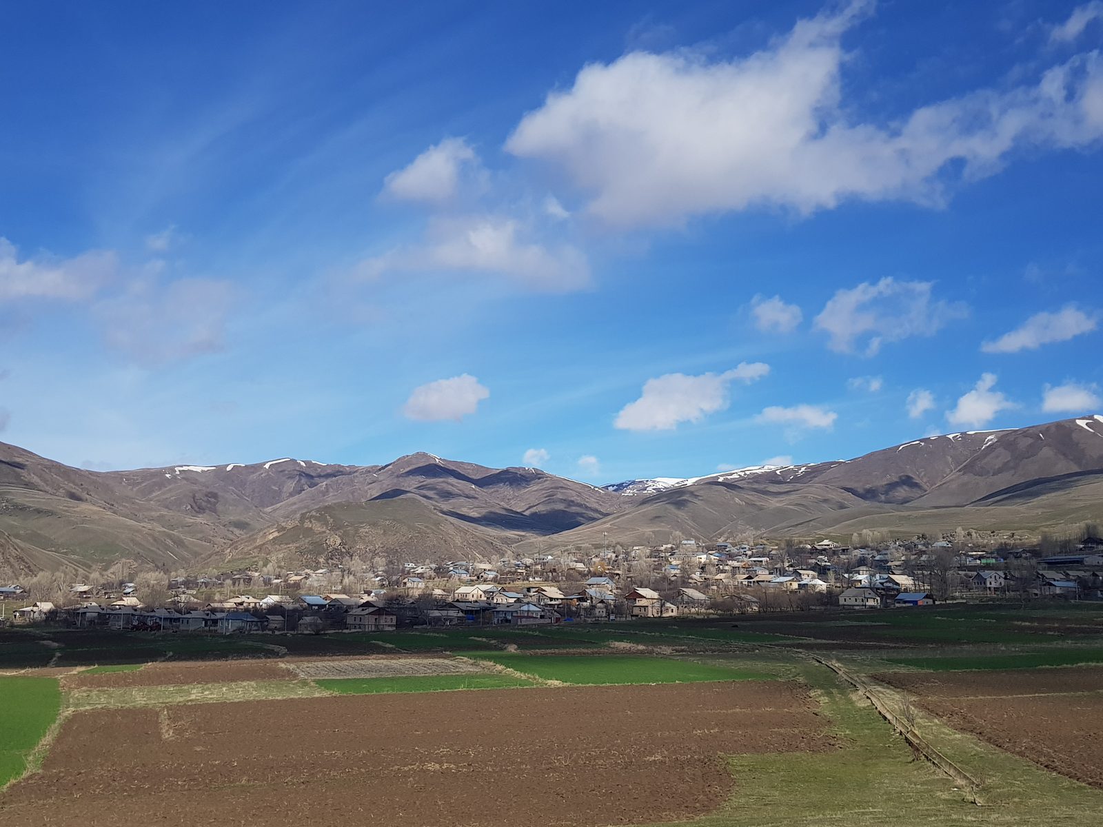 Seeds & Agriculture: field photo 7