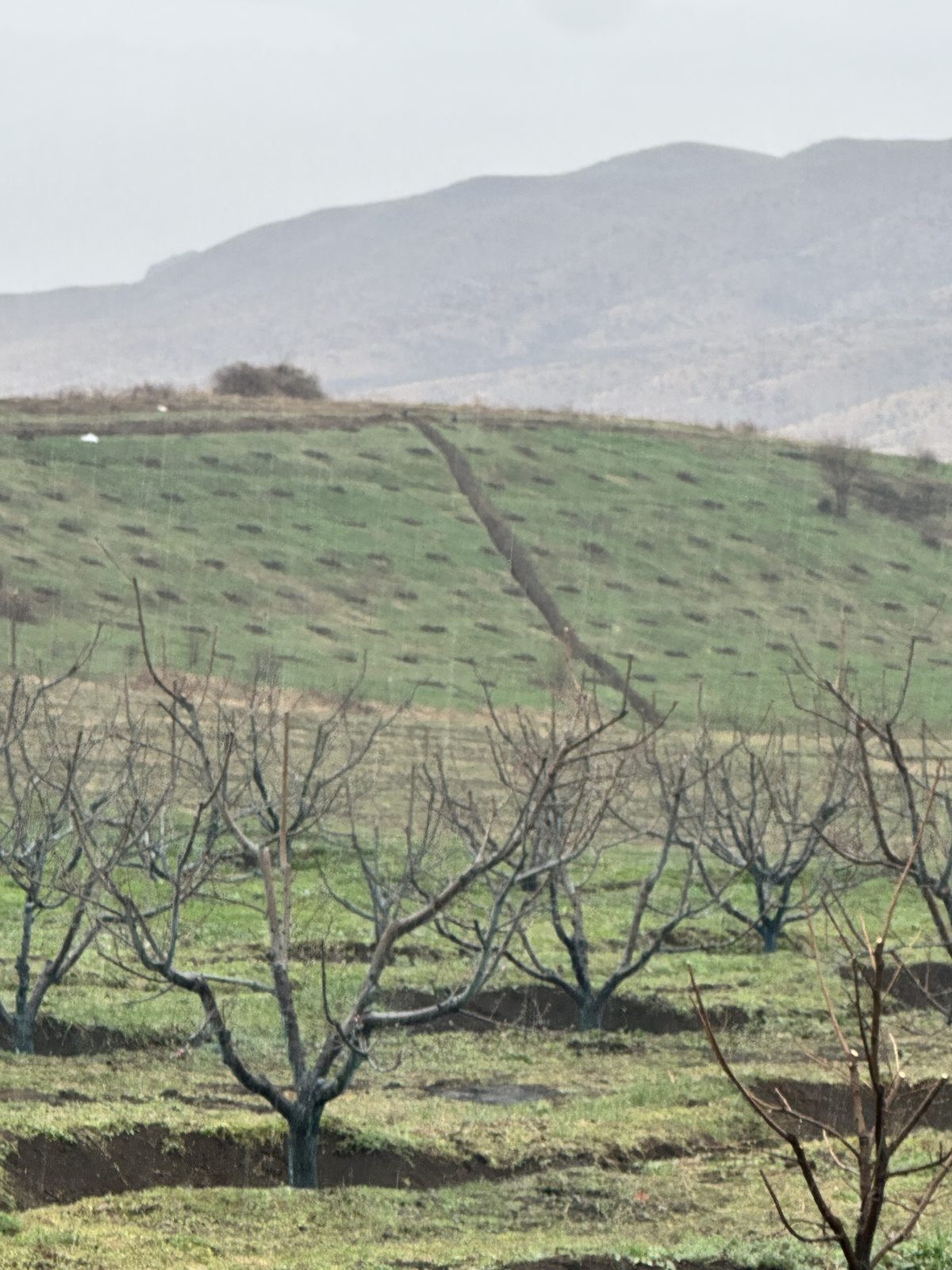 Water Projects: field photo 4